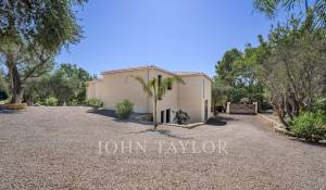 Sale House Opio