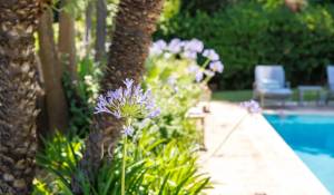 Sale House Saint-Paul-de-Vence