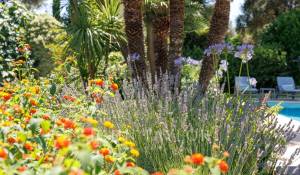 Sale House Saint-Paul-de-Vence