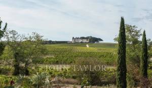 Sale House Sauternes