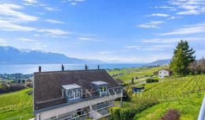 Sale Semi-detached house Blonay-Saint-Légier