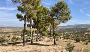 Sale Mansion Marrakech