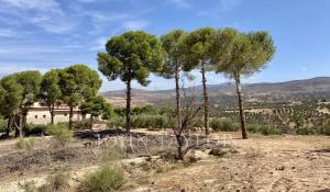 Sale Mansion Marrakech