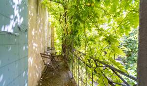 Sale Mansion Pernes-les-Fontaines