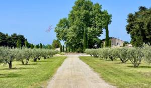 Sale Mas L'Isle-sur-la-Sorgue