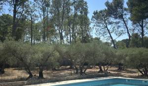 Sale Mas Saint-Rémy-de-Provence