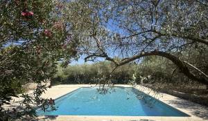 Sale Mas Saint-Rémy-de-Provence