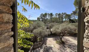 Sale Mas Saint-Rémy-de-Provence