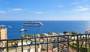 Sale Penthouse Monaco