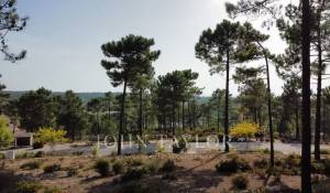 Sale Plot of land Carvalhal