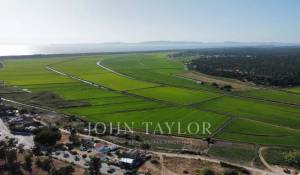 Sale Plot of land Carvalhal