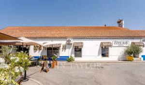 Sale Plot of land Carvalhal