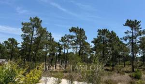 Sale Plot of land Carvalhal