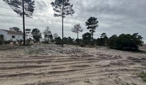 Sale Plot of land Carvalhal