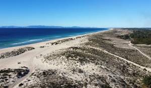 Sale Plot of land Carvalhal