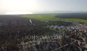 Sale Plot of land Carvalhal