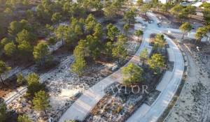 Sale Plot of land Carvalhal