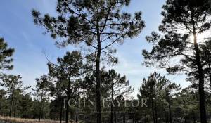 Sale Plot of land Carvalhal