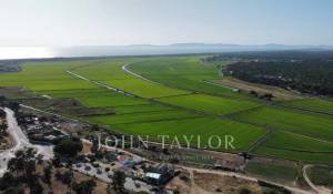 Sale Plot of land Carvalhal