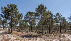 Sale Plot of land Carvalhal