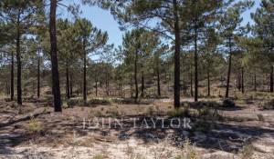 Sale Plot of land Carvalhal
