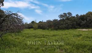 Sale Plot of land Ciudalcampo