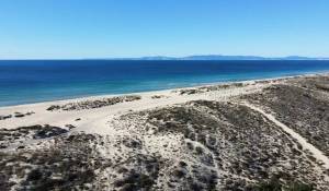 Sale Plot of land Comporta