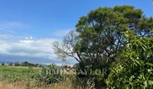 Sale Plot of land Comporta