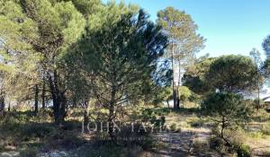 Sale Plot of land Comporta