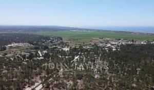 Sale Plot of land Comporta