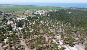 Sale Plot of land Comporta