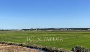 Sale Plot of land Comporta