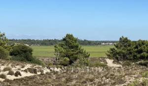 Sale Plot of land Comporta