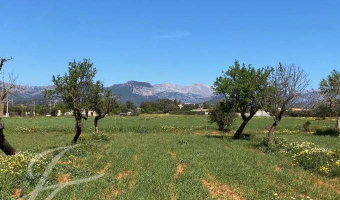 Sale Plot of land Consell