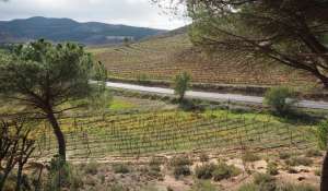 Sale Plot of land Cuenca