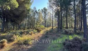 Sale Plot of land Grândola e Santa Margarida da Serra