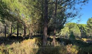 Sale Plot of land Grândola e Santa Margarida da Serra