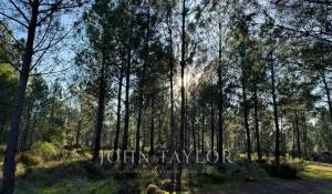 Sale Plot of land Grândola e Santa Margarida da Serra