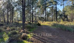 Sale Plot of land Grândola e Santa Margarida da Serra