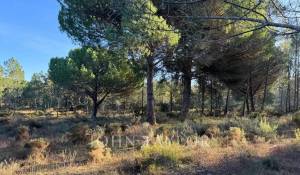 Sale Plot of land Grândola e Santa Margarida da Serra