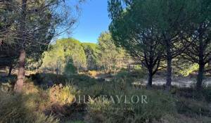 Sale Plot of land Grândola e Santa Margarida da Serra