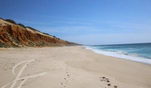 Sale Plot of land Grândola e Santa Margarida da Serra