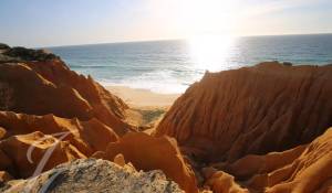 Sale Plot of land Grândola e Santa Margarida da Serra