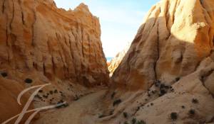 Sale Plot of land Grândola e Santa Margarida da Serra