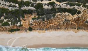 Sale Plot of land Grândola e Santa Margarida da Serra