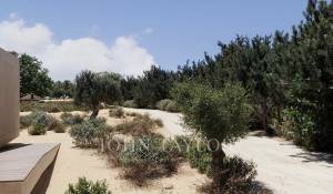 Sale Plot of land Grândola e Santa Margarida da Serra