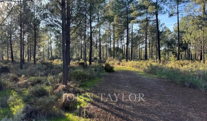 Sale Plot of land Grândola e Santa Margarida da Serra