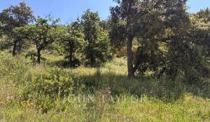 Sale Plot of land Grimaud