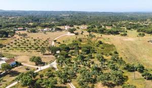 Sale Plot of land Melides