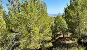 Sale Plot of land Palma de Mallorca